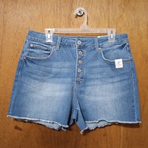 Time and Tru The High Rise Short Medium Wash Raw Hem Button Front Size 16